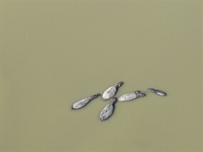 Customer Photo of NatureEye Remote Drone Experience